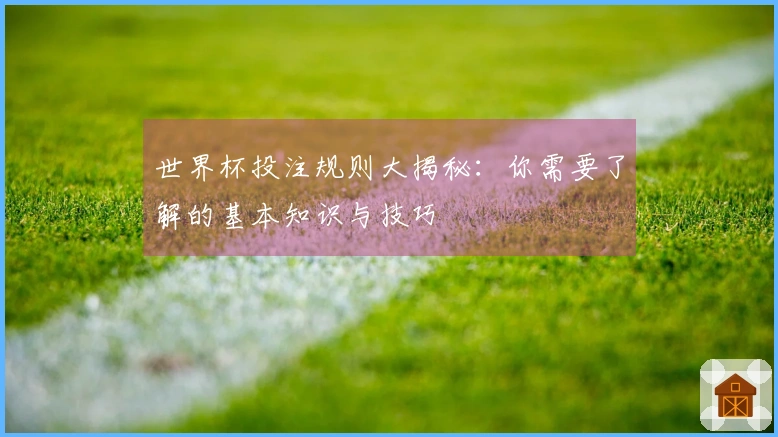 世界杯投注规则大揭秘：你需要了解的基本知识与技巧