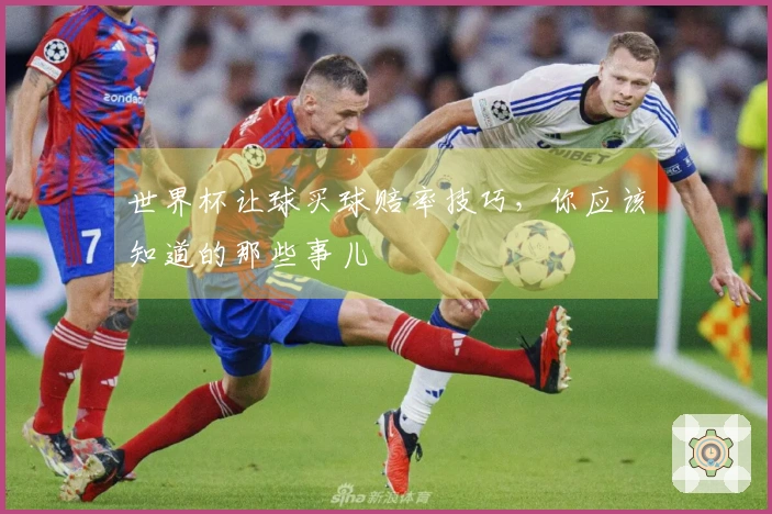 世界杯让球买球赔率技巧，你应该知道的那些事儿