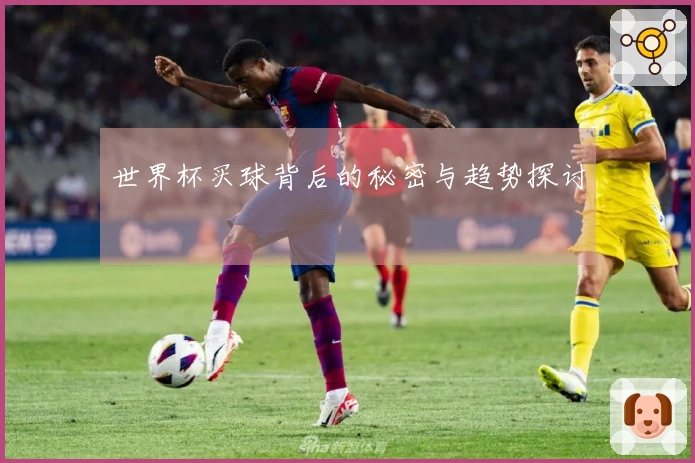 世界杯买球背后的秘密与趋势探讨