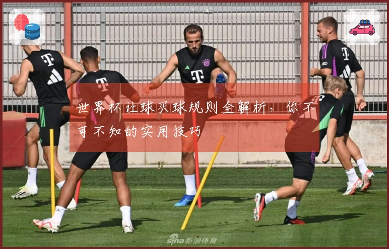 世界杯让球买球规则全解析，你不可不知的实用技巧