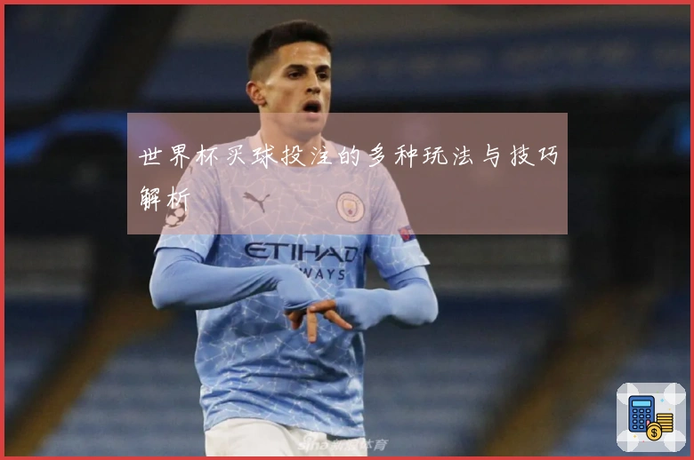 世界杯买球投注的多种玩法与技巧解析