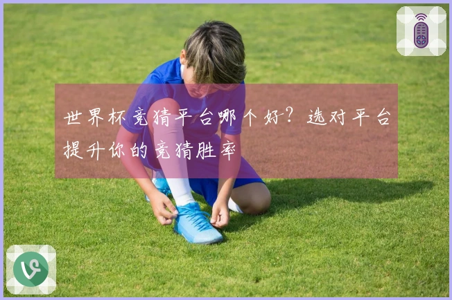 世界杯竞猜平台哪个好？选对平台提升你的竞猜胜率