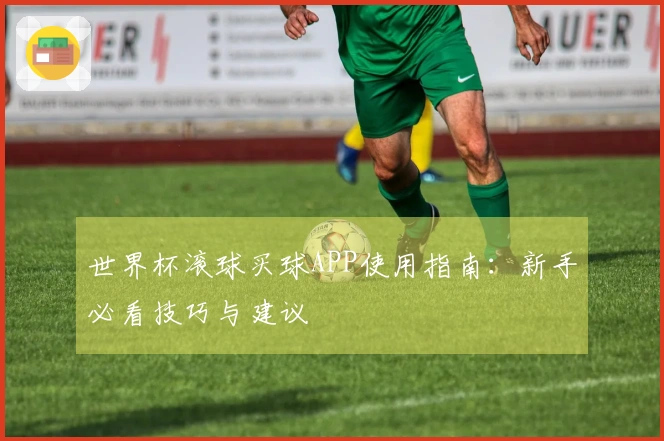 世界杯滚球买球APP使用指南：新手必看技巧与建议