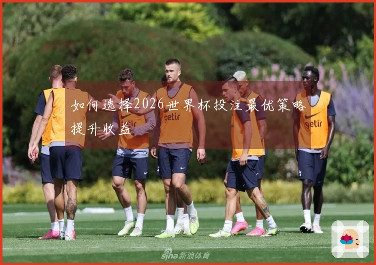 如何选择2026世界杯投注最优策略提升收益