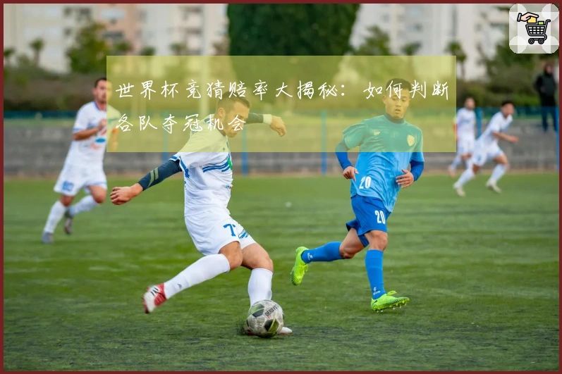 世界杯竞猜赔率大揭秘：如何判断各队夺冠机会