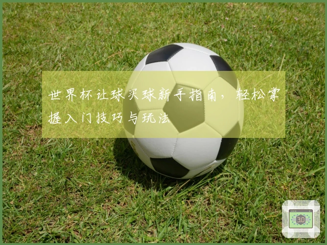 世界杯让球买球新手指南，轻松掌握入门技巧与玩法