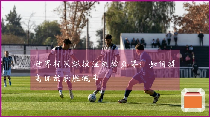 世界杯买球投注经验分享，如何提高你的获胜概率