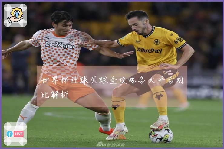 世界杯让球买球全攻略各大平台对比解析