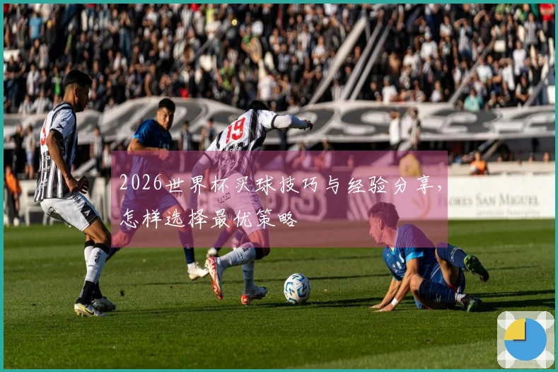 2026世界杯买球技巧与经验分享，怎样选择最优策略